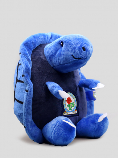Blackburn Rovers Turtle