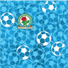 Rovers Lotsa footballs birthday card G07