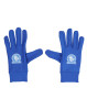 Royal Youth Tech Gloves
